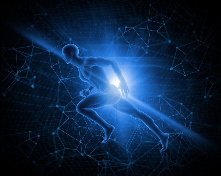 专研亚洲人体质